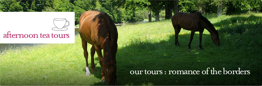 Afternoon Tea Tours - Private tour of the Scottish Borders