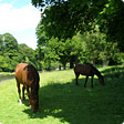 Romance of the Scottish Borders